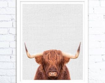 Highland Cow Art print, Animal Print,Highland Cow, Animal art, Animal decor, Animals art, Baby animals, Nursery animal wall art, Kids art