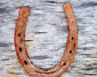 Horseshoe art | Etsy