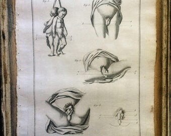 Authentic original Antique Print. HERMAPHRODITE. Sexuality. SEX ORGAN.-Pl. 2-Denis Diderot-1751. The Encyclopedia. Cabinet de curiosités