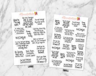 The Big Bang Theory (TV Show) Quote Stickers | (Great for ANY planner, calendar, craft, scrapbook & more!)