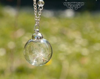 Transparent Bubbles Etsy