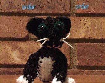 Special order cat