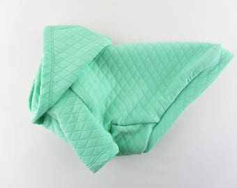 Light Green Raglan Sleeves Dog Hoodie, Dog Clothing, Dog Apparel, for Small dogs Only