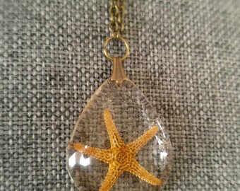 Starfish necklace, real starfish jewlery, beach, cottage hostess gift, botanical, tiny starfish, teardrop pendant, beach wedding