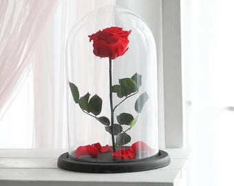 ON SALE Beauty and the beast rose (Large), Enchanted Rose, Rose in glass dome, Forever red rose, Rose in Glass, preserved rose, preserved fl