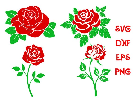 Free Free 96 Rose Flower Svg Free SVG PNG EPS DXF File