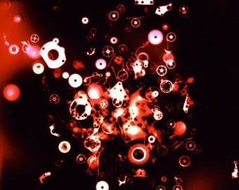 Colour Rayogram - Watch Parts Red, Steam Punk - 2016
