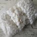 Wholesale Lot 400+ Assorted White Sea Shells For Mosaics Crafting Sailors Valentines Shells  Bulk Wholesale  Group 3