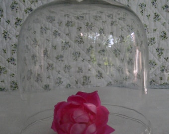 Pretty Vintage Glass Cloche Perfect for Seasonal Displays and Entertaining