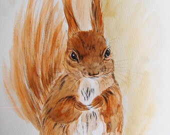 ecureuil, animaux, nature, foret, nature, dessin encre