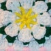 CrochetNut742