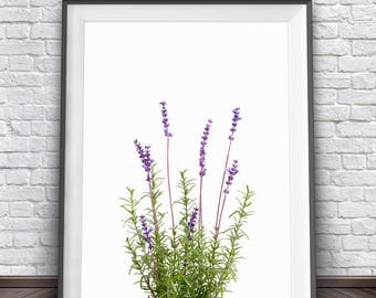 Lavender Wall Art lavender art | etsy Lavender Wall Art lavender art | etsy