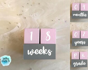 Baby Milestone Blocks
