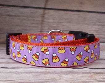 Candy Corn Dog Collar / Candycorn Collar / Halloween Dog Collar / Purple Dog Collar / Trick or Treat Collar / Large Medium XL Dog Collar