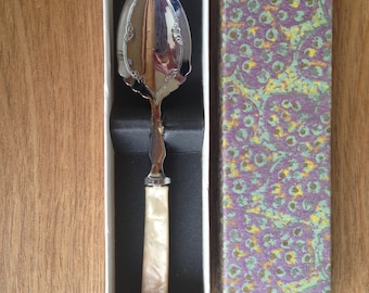 Vintage chrome and nacre spoon