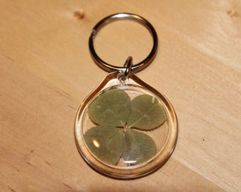 Small Real Four Leaf Clover Key Chain Lucky Charm Keychain
