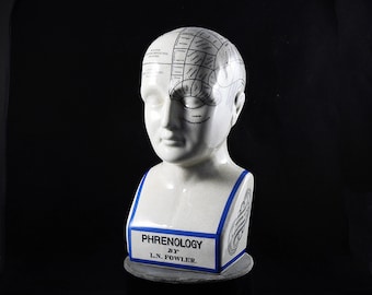 Phrenology Head Phrenology Bust 12 inch L.N. Fowler Porcelain Ceramic Crackle Grazed Statues Steampunk