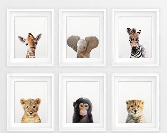 Safari Nursery Decor, Baby Animals Set 6, Lion Zebra Elephant Giraffe, Nursery Prints Modern Animal Art, Safari Animals, Kids Room Printable