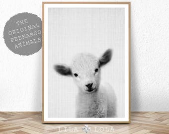 Lamb Print, Baby Sheep Wall Art, Nursery Animal, Digital Download, Farm Decor, Printable Farmhouse Sheep, Large Poster, Black and White