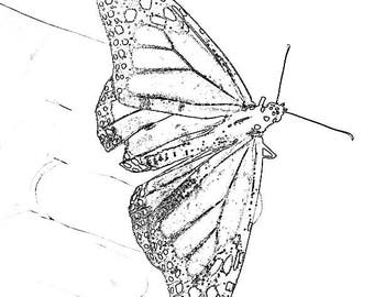 dreamcatcher butterfly coloring pages for adults
