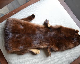 Animal fur