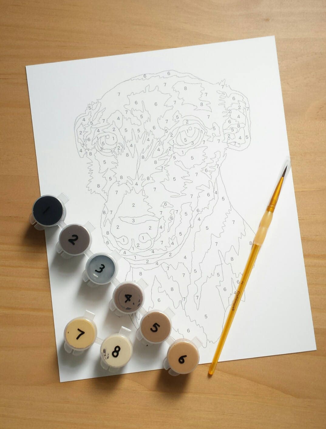 Personalized Paint By Number Pet Portrait Kit 8x10 from McPainterly on