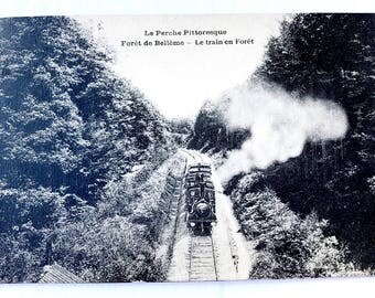 Le Perche Pittoresque - Foret de Belleme - Vintage postcard
