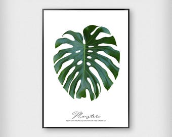Monstera Print | Botanical | Green - Black | Tropical - Leaf - Poster