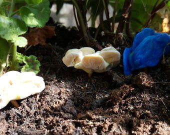 3x Miniature Fungus/Decorative Fungus