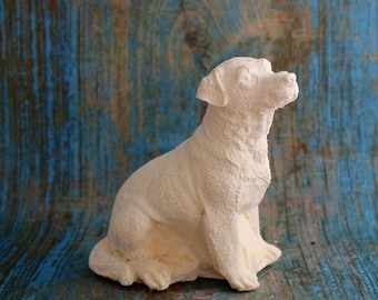 Labrador plus size coat sitting in paint detail