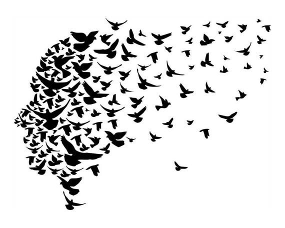 Download Bird Nature Animal Wildlife Flying Wings Freedom Vector ...