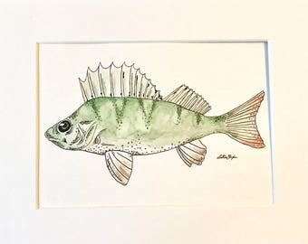 Perch - Original watercolour