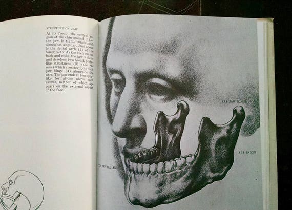 Drawing The Human Head Burne Hogarth Vintage Book Art Anatomy