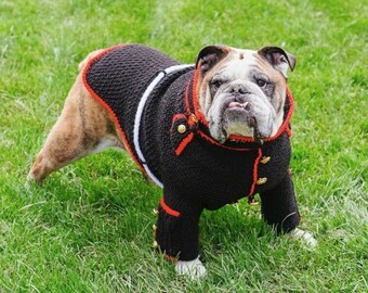 Usmc Bulldog Uniform - Usmc Dog Sweater - Marine Dog Uniform - Bulldog Sweater - Marine Corps - English Bulldog - Hobbyist License 21512