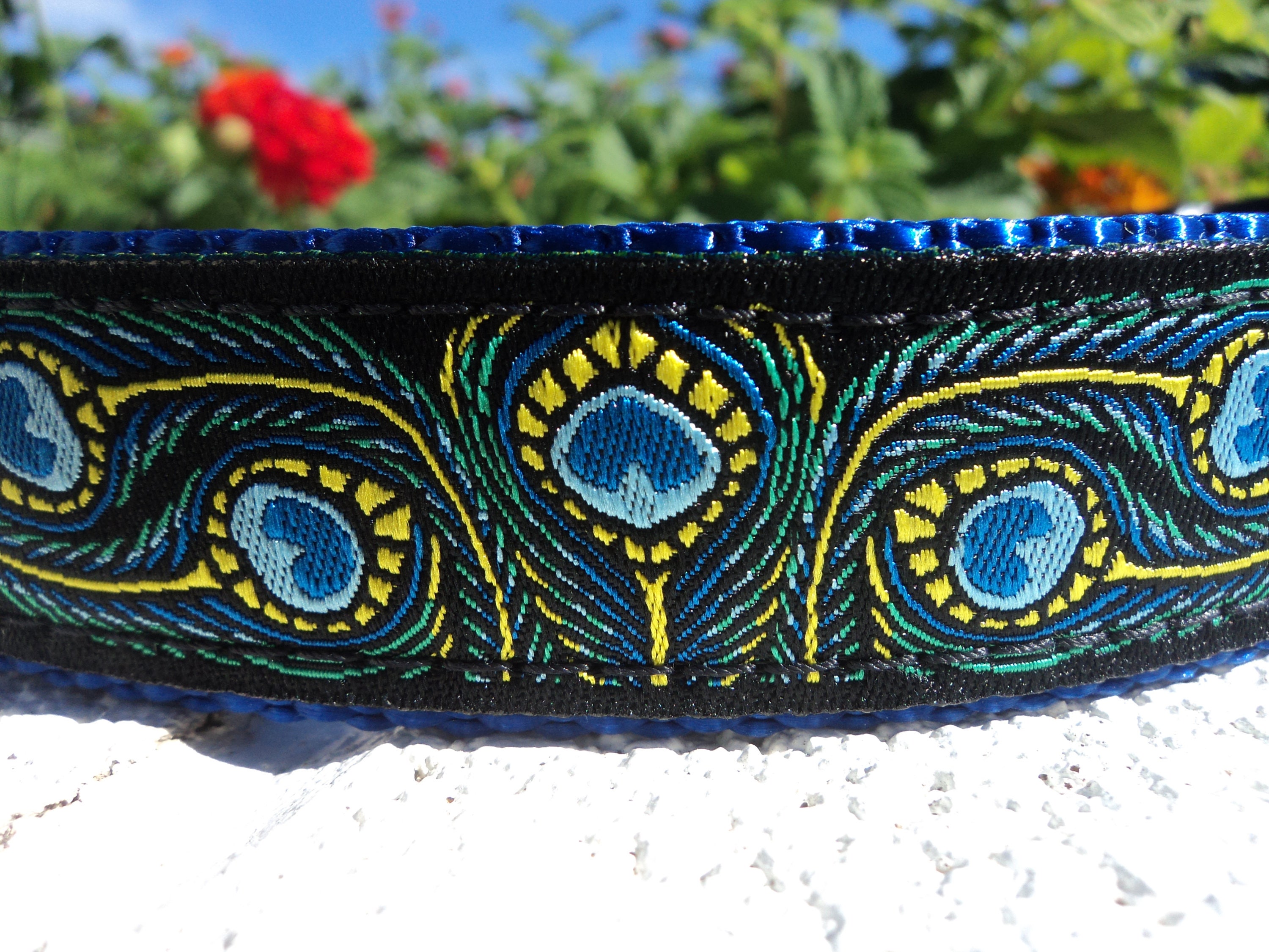 Dog Collar 1 wide Side Release buckle or Martingale