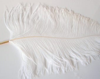 Large Ostrich Feather deluxe ballpoint Pen - NaturalWhite