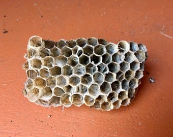 Crocheted Wasp Nest PDF Pattern to scare away wasps designed