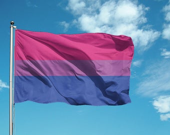 Bisexual Pride Flag
