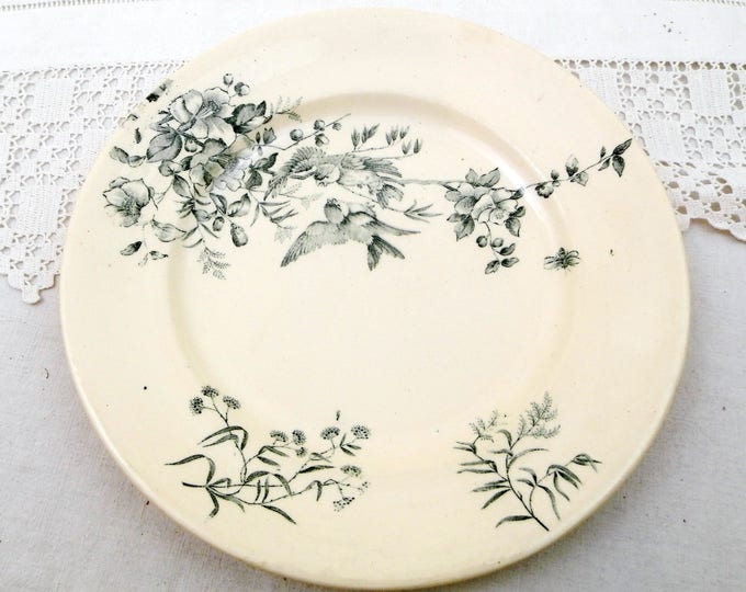 Antique French Ceramic Bird Pattern Plate, Dark Blue on White Blue Tits with Wild Rose Design, Victorian Decorative Dinnerware