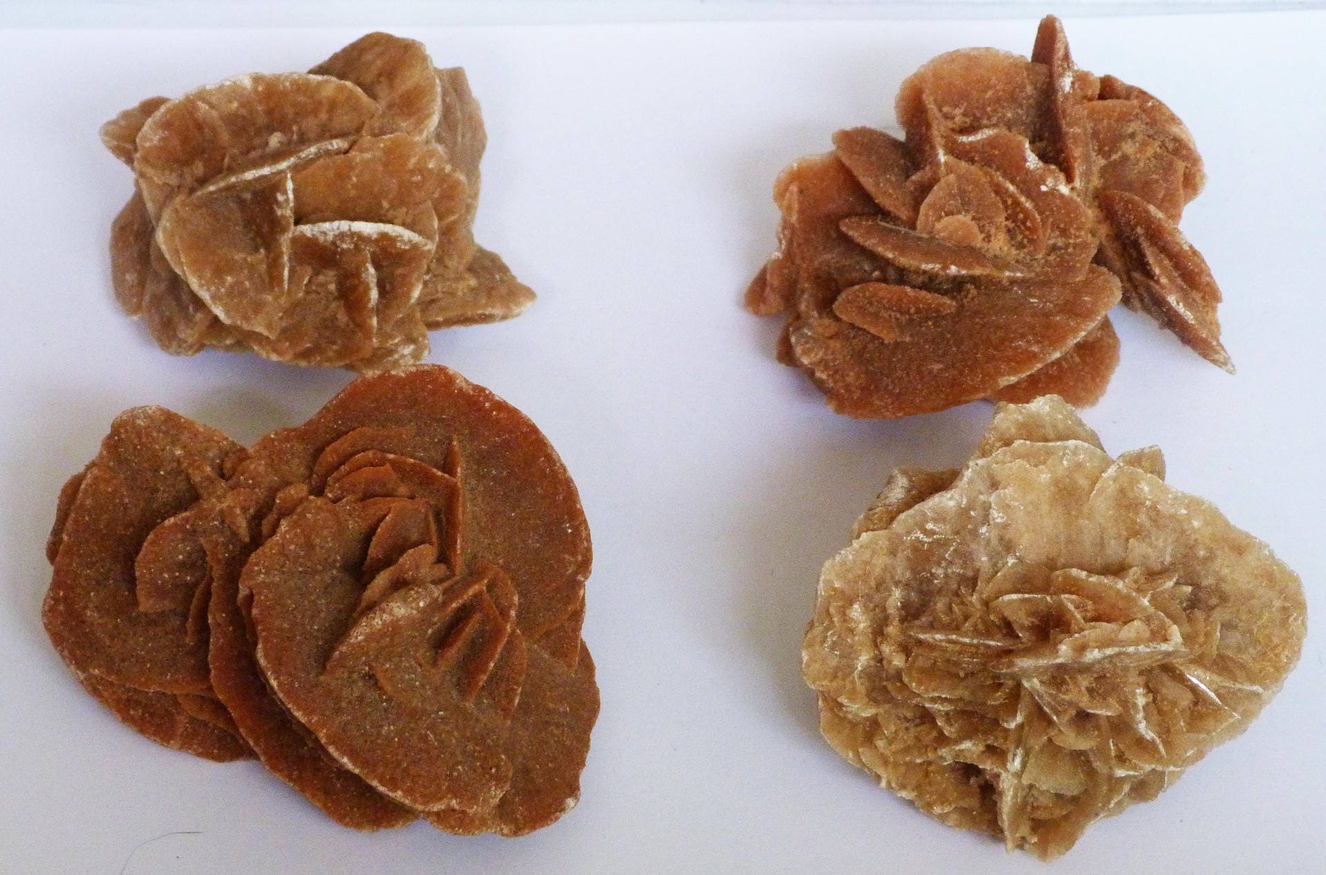 Moyenne rose des sables lot pierre brute lithothérapie