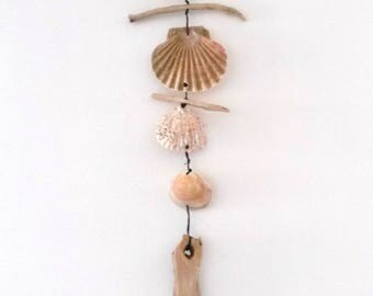 Driftwood wreath: wood shells
