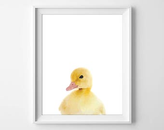 Duck nursery | Etsy