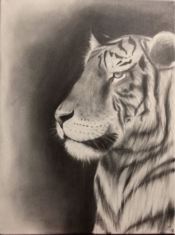 Tiger in Graphite on Canvas