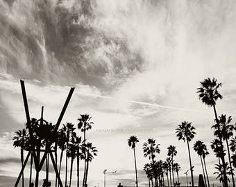 photography, Venice Beach photo, black and white photograph, palm trees, LA, Los Angeles, California beach, boys room decor, gray, for him