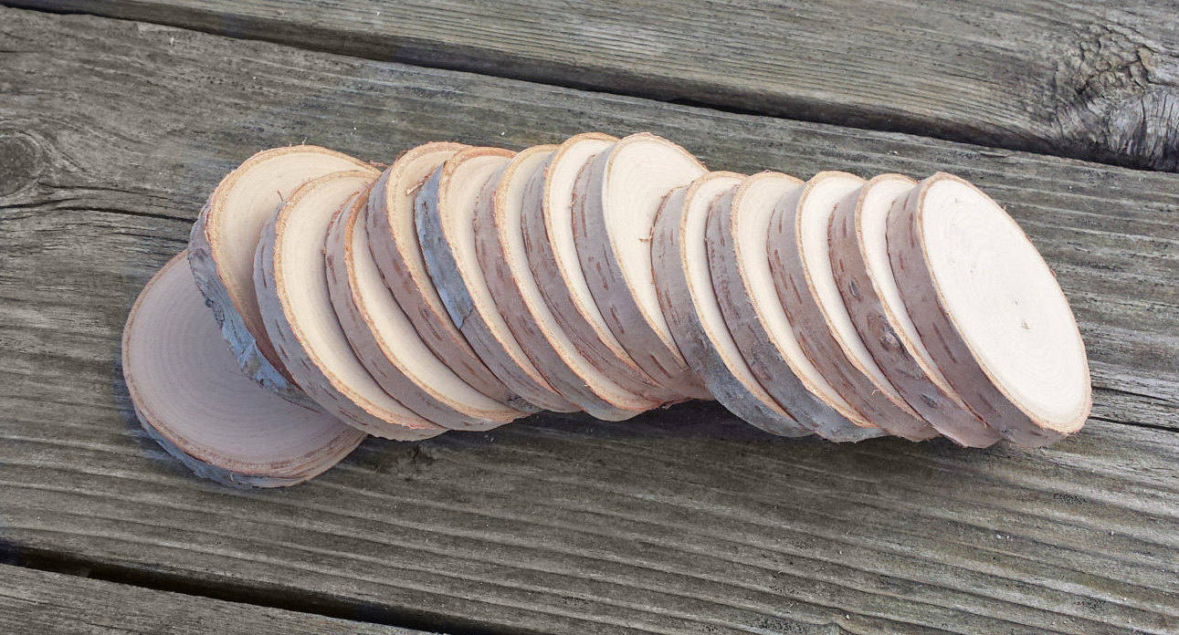 16 White Birch Discs, 2.25 inch Handcut and Fully Sanded Wood Rounds