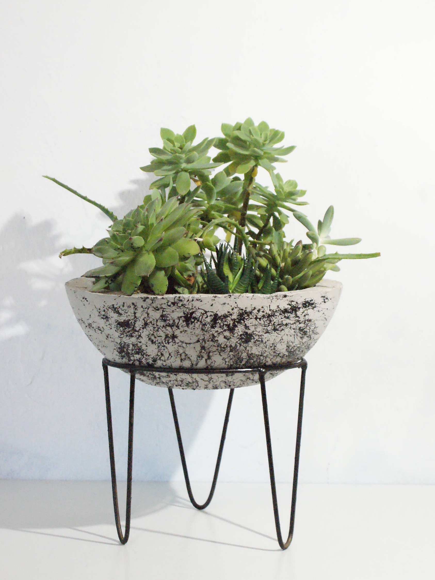 9.8inc/Large Concrete Planter with Plant Stand/Modern Concrete