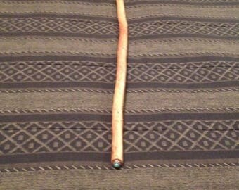 Blue Tip Walking Stick