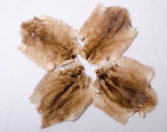 Real wolf fur pelt/ Genuine wolf skin/ wolf pelt