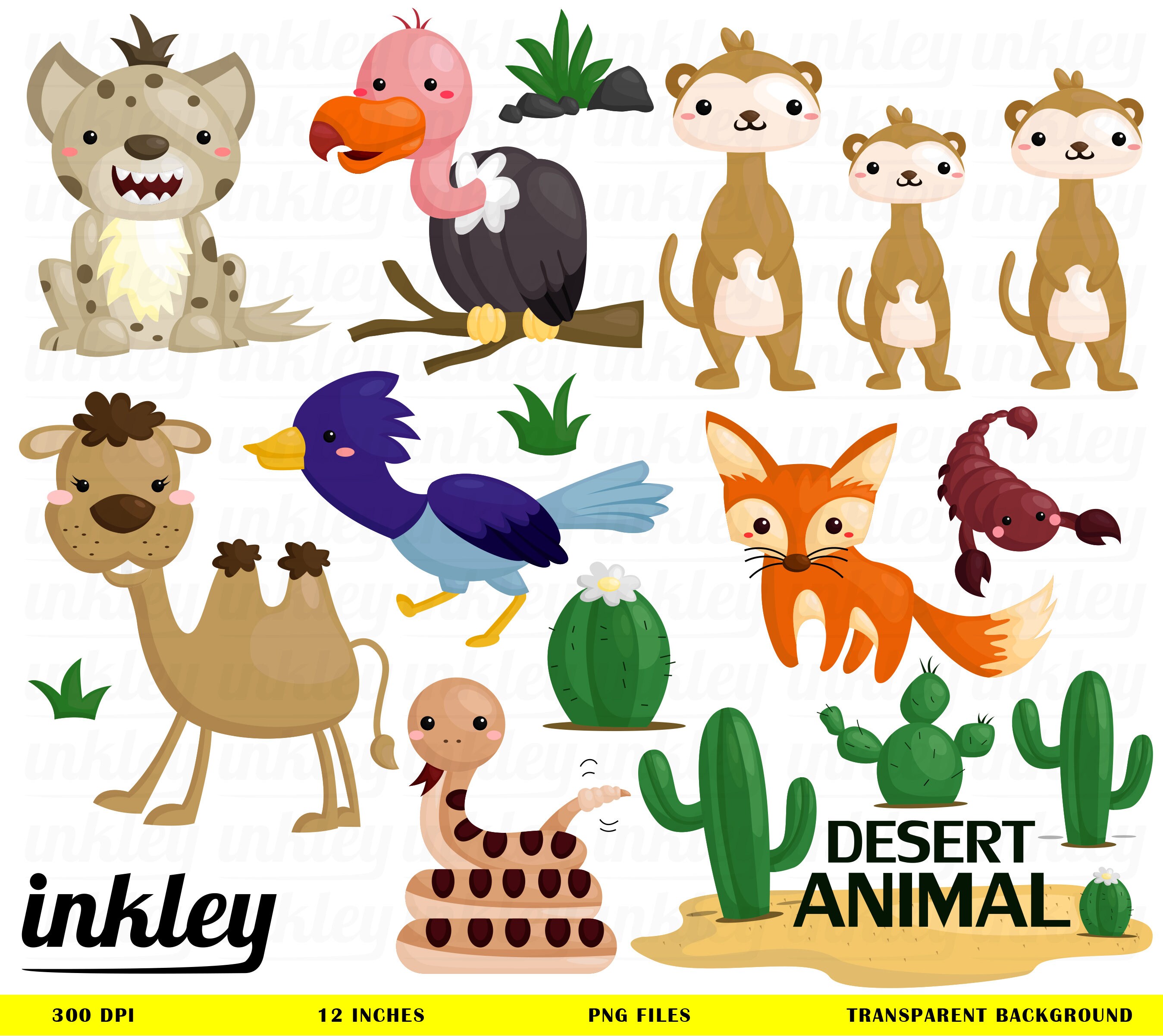 Desert Animal Clipart Desert Animal Clip Art Desert Animal