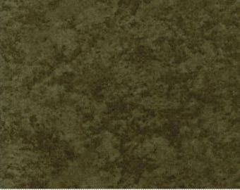 Forever Green - Pine Dark Green 6538 105 - Moda Fabrics - 100% Cotton Quilting Fabric by Holly Taylor